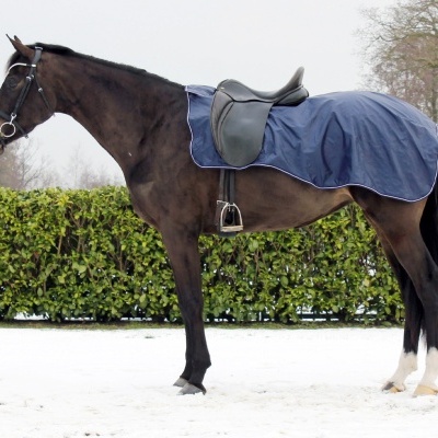 Cavalo com sela preta e manta azul na neve