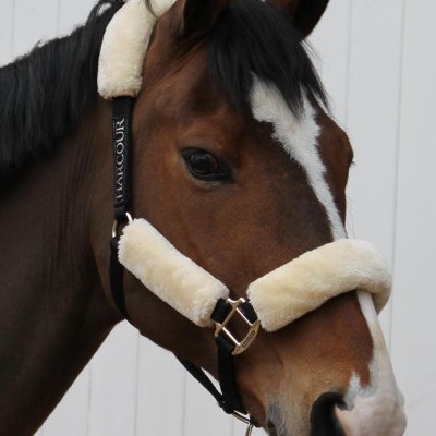 Cavalo com cabresto preto e almofadas de pelo sintético creme