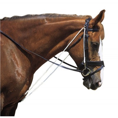 Cavalo castanho com bridão e rédeas pretas