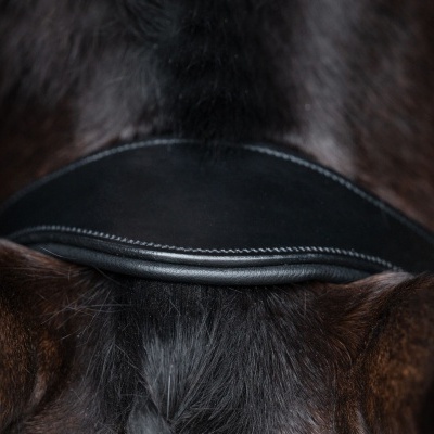 arreio de couro preto no pescoço de cavalo castanho escuro