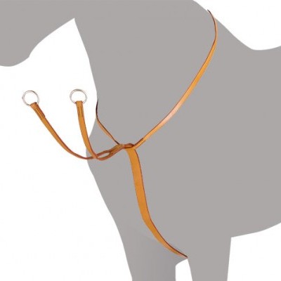 Arreio de couro castanho claro com anéis metálicos prateados