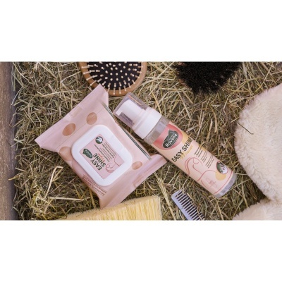 Lenços húmidos e espuma para cuidados com cavalos da PROMAX sobre palha com escovas e pente