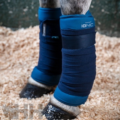 Pernageiras azuis para cavalos com faixa preta e texto HORSEWARE IONIC