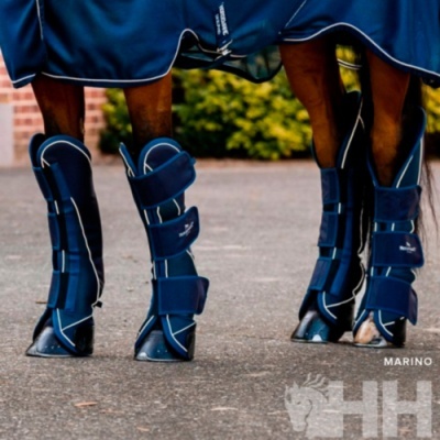 Pernas de cavalos com proteções azuis escuras e mantas azuis