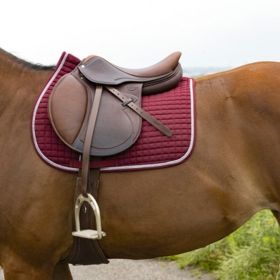 Cavalo com sela castanha e manta cor vinho numa paisagem ao ar livre