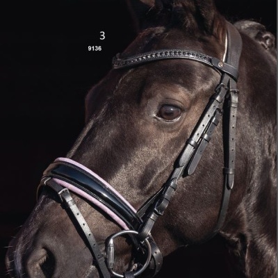 Cabresto de couro preto com detalhes em rosa claro e branco numa cabeça de cavalo castanho escuro