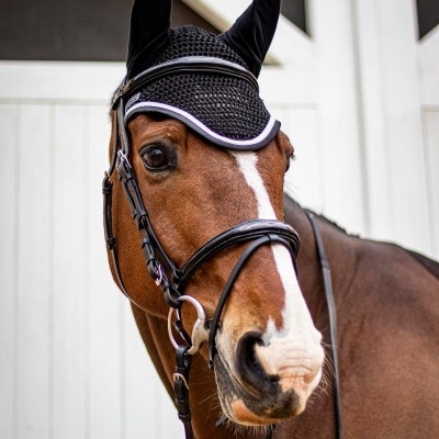 Cavalo castanho com peonça e arreio preto