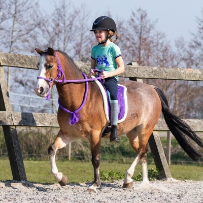 Criança a cavalgar cavalo castanho com sela roxa num picadeiro