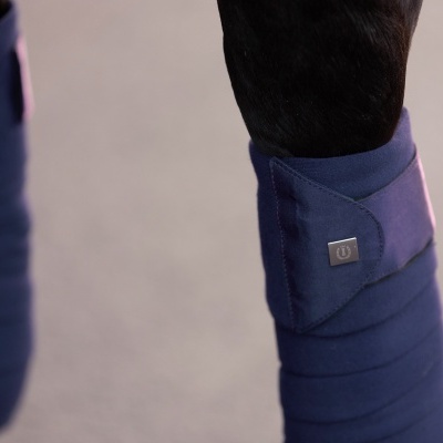 Proteções para pernas de cavalo em tecido azul escuro acolchoado com fecho de velcro