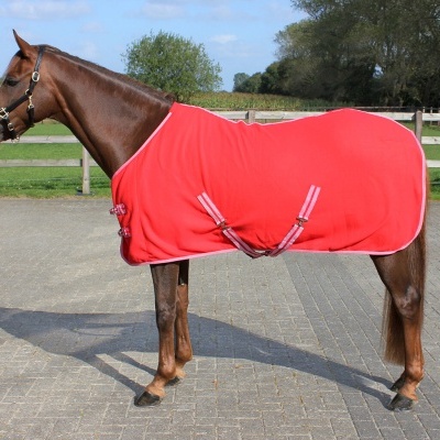 Manta vermelha para cavalo com correias ajustáveis num cavalo castanho