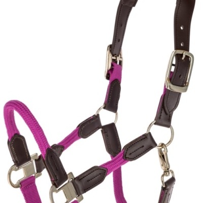 Cabresto para cavalo rosa com couro castanho e fivelas metálicas prateadas