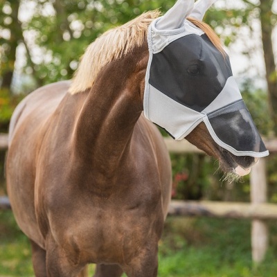 Cavalo com máscara protetora para olhos e orelhas em ambiente natural