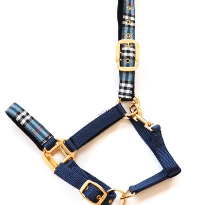 Cabresto para animais azul escuro com detalhes xadrez e ferragens douradas