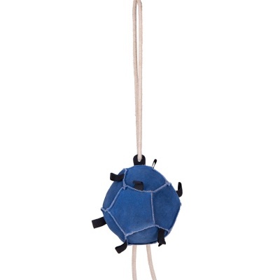 Brinquedo para cães bola azul com corda branca