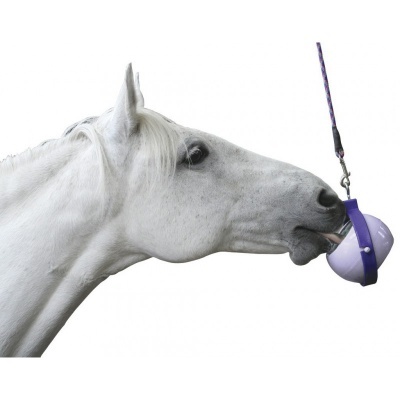 Cavalo branco com focinheira plástica roxa pendurada por corda