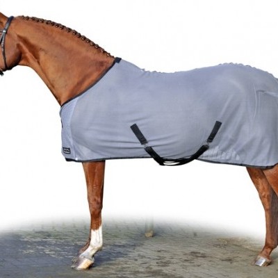 Cavalo castanho com manta cinzenta clara e tiras negras