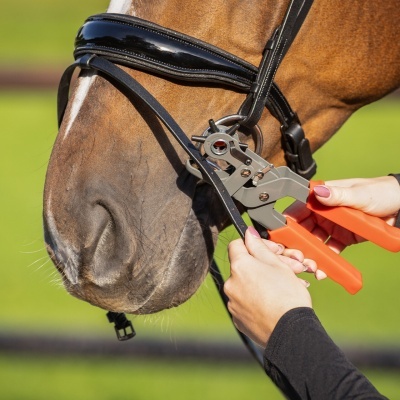 Ferramenta de perfuração perfura correia de couro preto na cabeça de cavalo castanho ao ar livre