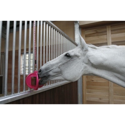 Dispositivo rosa fixado a barras metálicas dentro de estábulo com cavalo branco