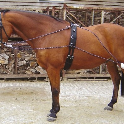 Cavalo castanho com arreio preto e correias decorativas junto a pilha de madeira
