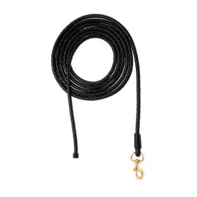 Trela para cão preta com argola dourada