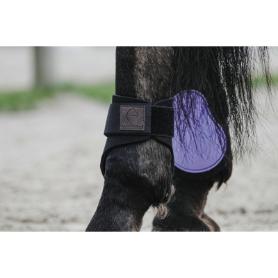 Proteção preta com almofada roxa na perna de um cavalo preto