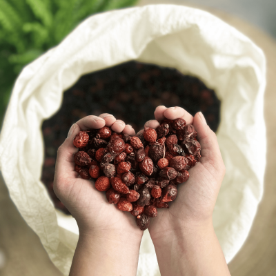 Mãos segurando frutos secos castanhos em forma de coração sobre saco de tecido branco
