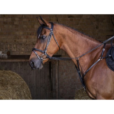 Cavalo castanho com cabresto e arreio preto em estábulo