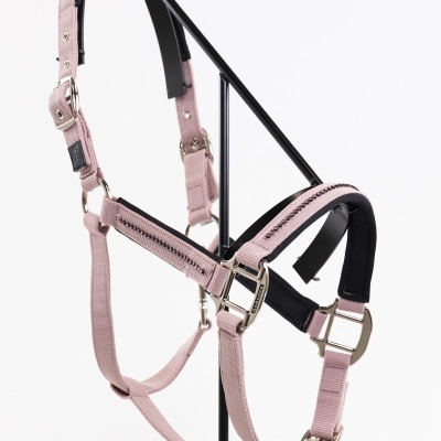 Cabresto rosa claro com acolchoado preto e fivelas prateadas em suporte preto