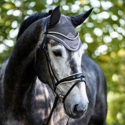 Cavalo cinzento com embocadura e boné preto com pérolas ao ar livre