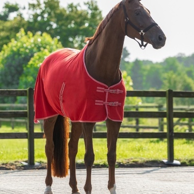 Cavalo castanho com manta vermelha em ambiente exterior com cerca de madeira e árvores.