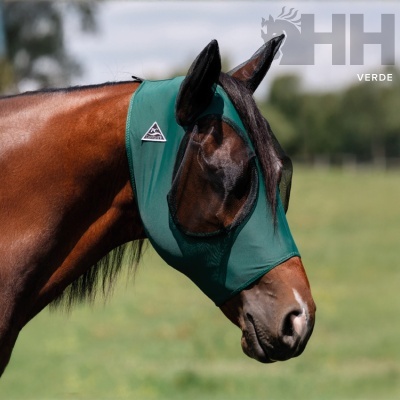 Cavalo castanho com máscara verde respirável em campo