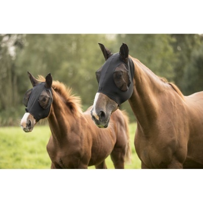 Dois cavalos castanhos com máscaras pretas para os olhos ao ar livre