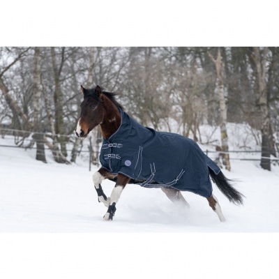Cavalo com manta azul escura na neve