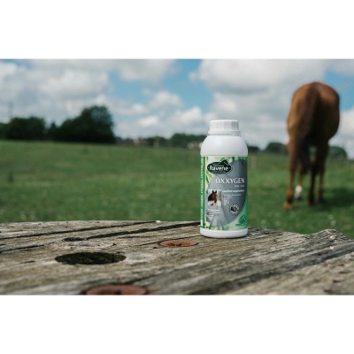 Frasco de suplemento Bayer Oxxygen para cavalos sobre madeira ao ar livre com cavalo ao fundo