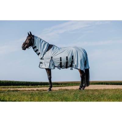 Cavalo com manta cinza claro e tiras pretas ao ar livre