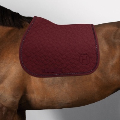Tapete para cavalo bordado em tecido bordô com padrão geométrico sobre cavalo castanho