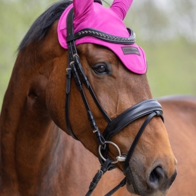 Cavalo castanho com touca de orelhas fúcsia e cabresto preto