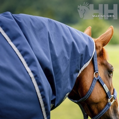 Cavalo castanho com cabeçada e manta azul marinho em ambiente ao ar livre