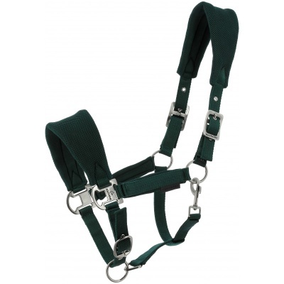 Cabresto para cavalo de tecido verde escuro com fivelas metálicas prateadas