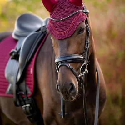 Cavalo castanho com manta e touca vermelhas e sela preta em ambiente natural