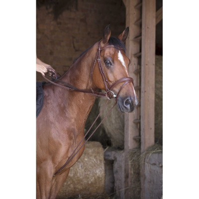 Cavalo castanho com bridão de cabedal numa eira com fardos de palha