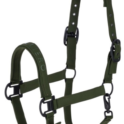 Cabresto de cavalo verde com fivelas pretas