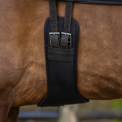 Fita preta com fivelas metálicas em cavalo castanho