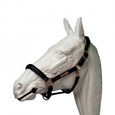 Escultura de cabeça de cavalo branca com cabresto preto e peças douradas