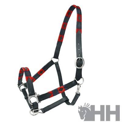 Cabresto para cavalo preto com motivos vermelhos e fivelas metálicas