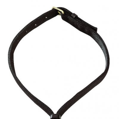 Coleira preta para pet com fivela dourada