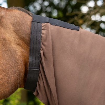 Cobertura castanha com tiras elásticas pretas num cavalo castanho