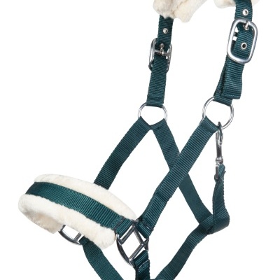 Cabresto verde escuro com acolchoamento branco felpudo e fivelas metálicas.