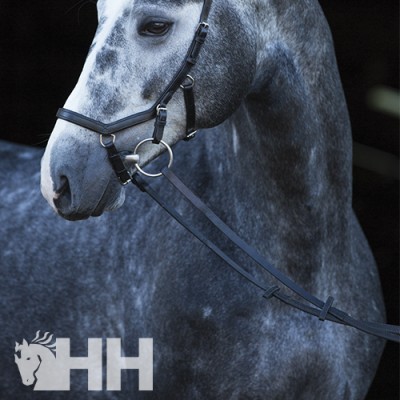 Cavalo cinzento com cabresto preto e rédeas