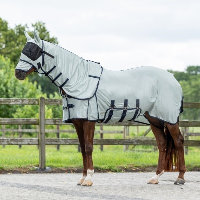 Cavalo com manta protetora cinza claro e preto com tiras e fivelas, proteção para cabeça com rede preta, ao ar livre com cerca e relvado